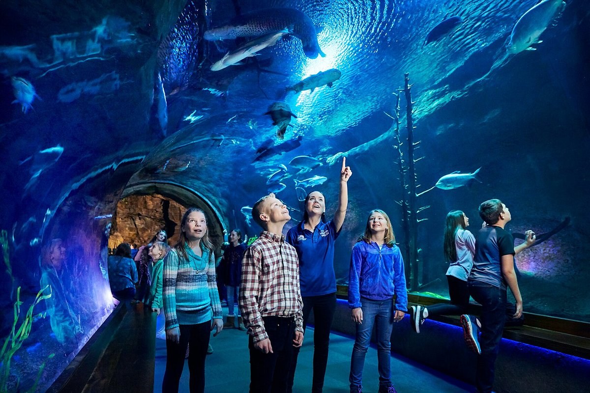 Wonders of Wildlife: America's #1 Aquarium & Museum