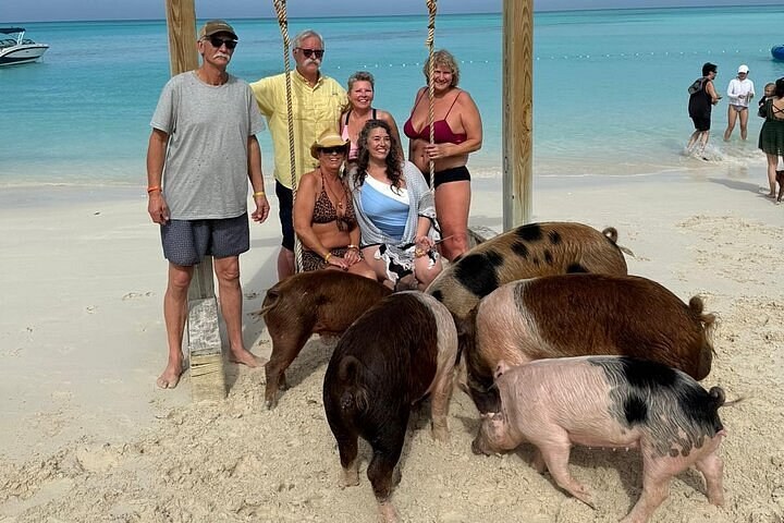 Exclusive Swim with Wild Pigs & Private Beach at Rose Island
