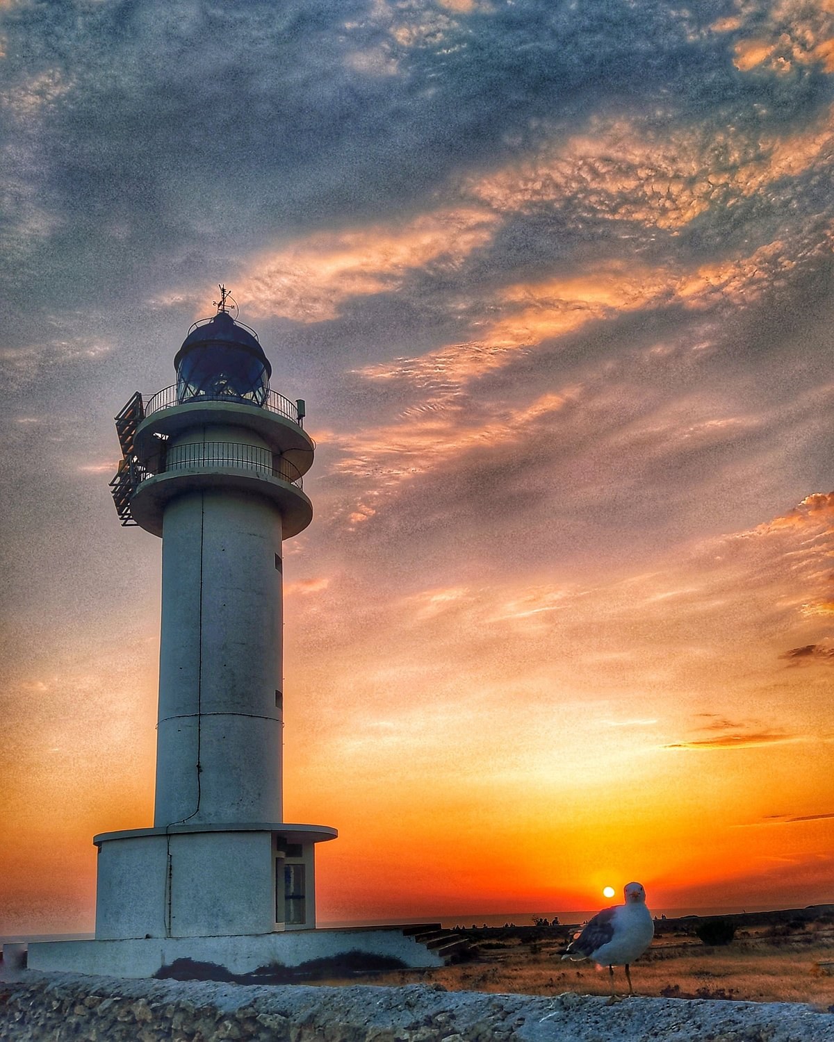 Cap de Barbaria Lighthouse & Formentera's Wild South Coast