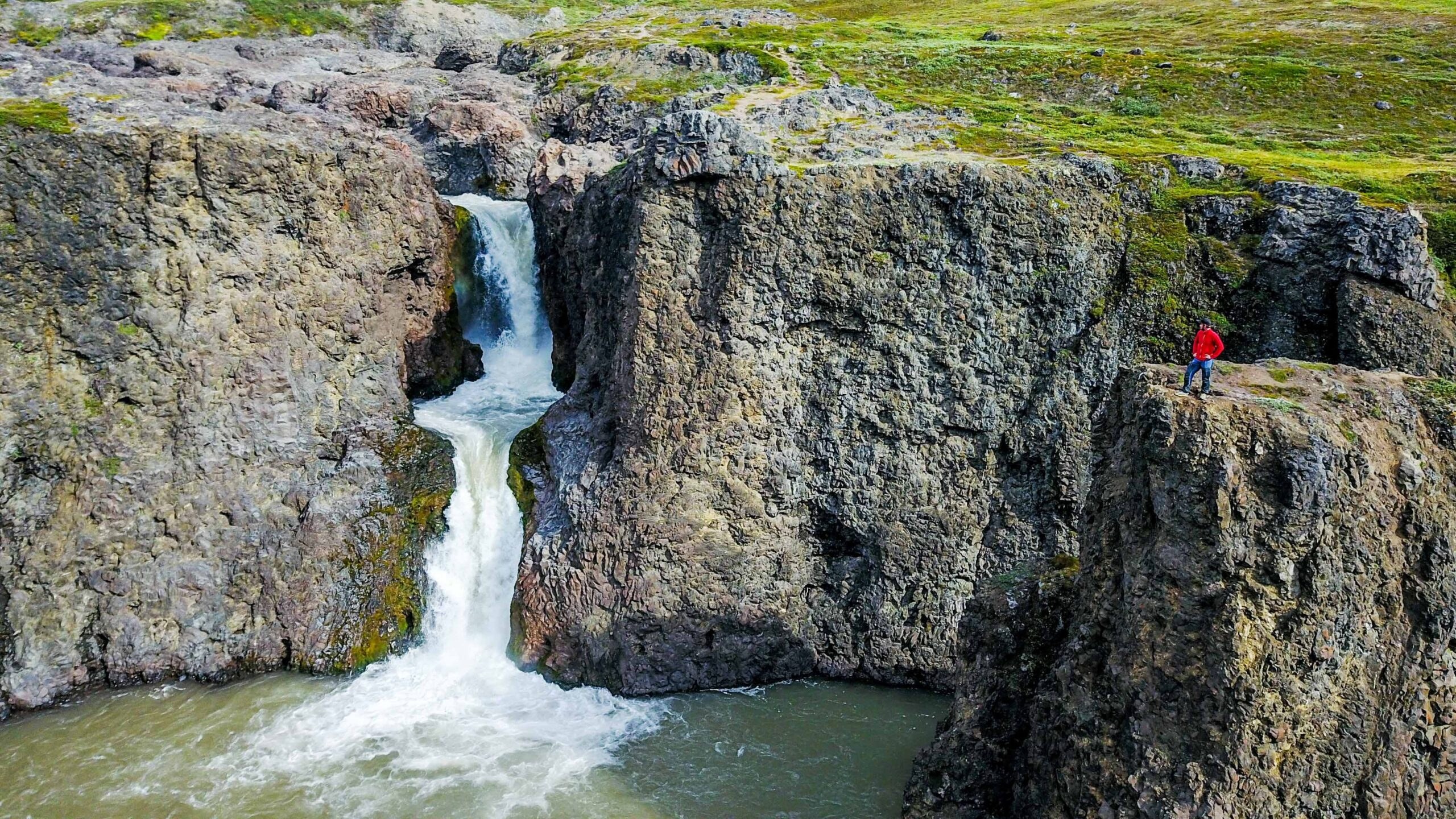 Disko Island Wilderness Day: Hot Spring, Basalt Cliffs & Reindeer