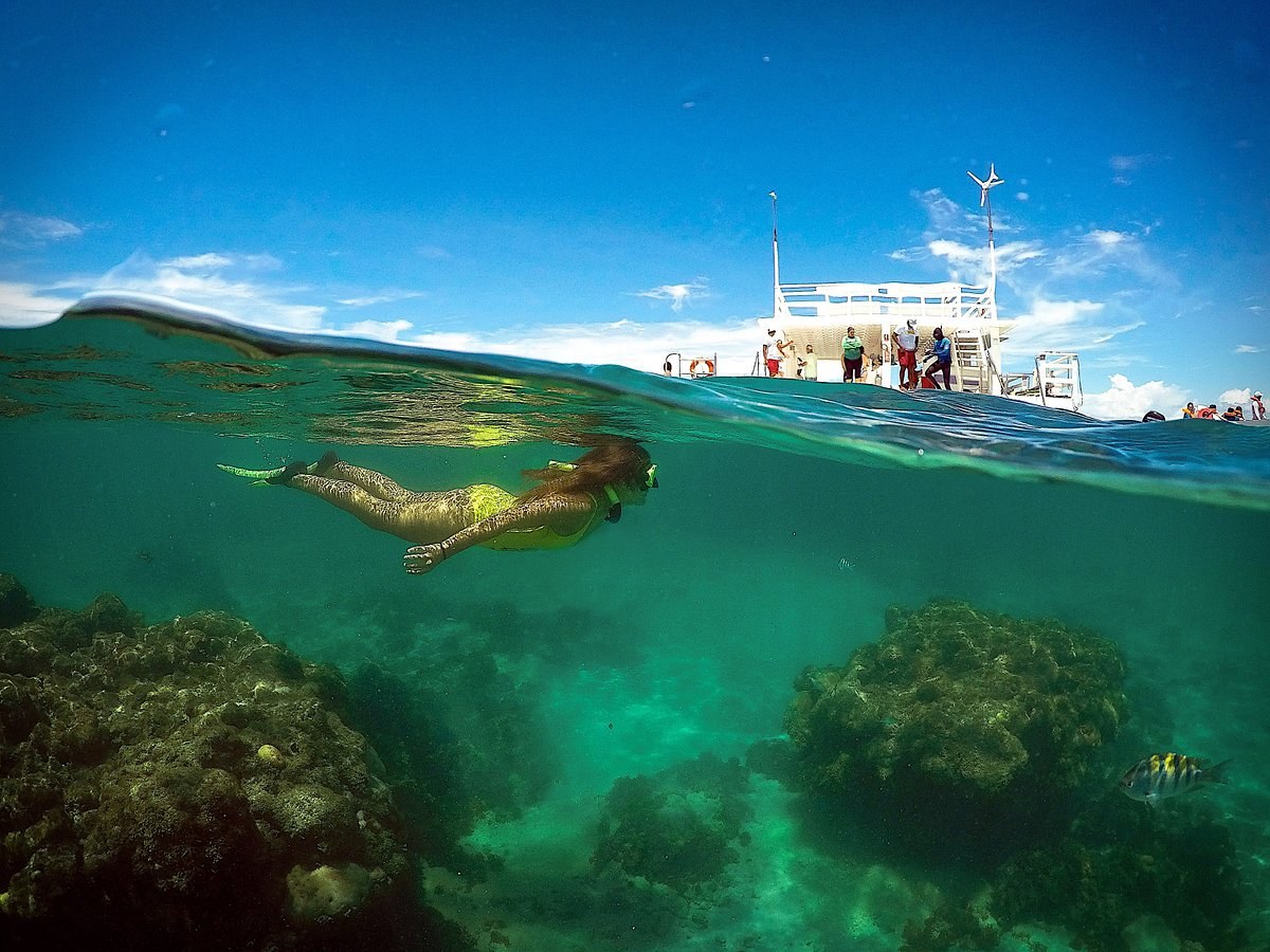 Private Reef Snorkel & Dive at Maracajaú Coral Parrachos