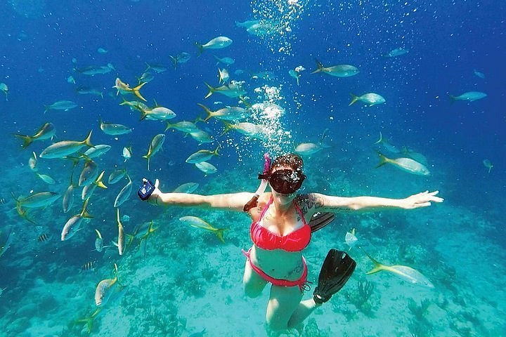 Grand Turk: Private Snorkel Safari on the Wall
