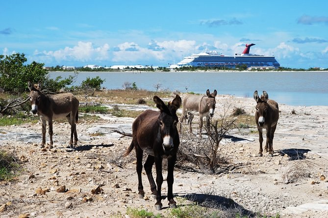 Grand Turk: Private Historical Walking Tour with a Local Historian