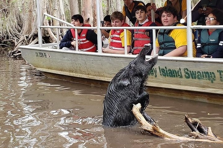 Honey Island Swamp: Private Pirogue & Wildlife Encounter