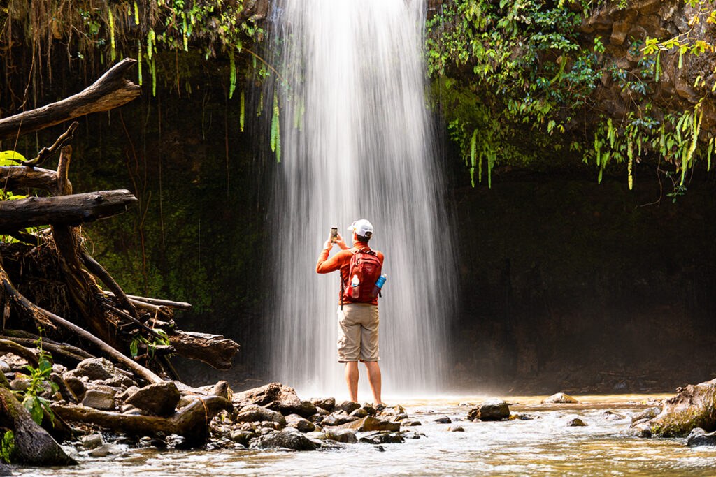 Private Guided Rainforest & Waterfall Hike with Naturalist