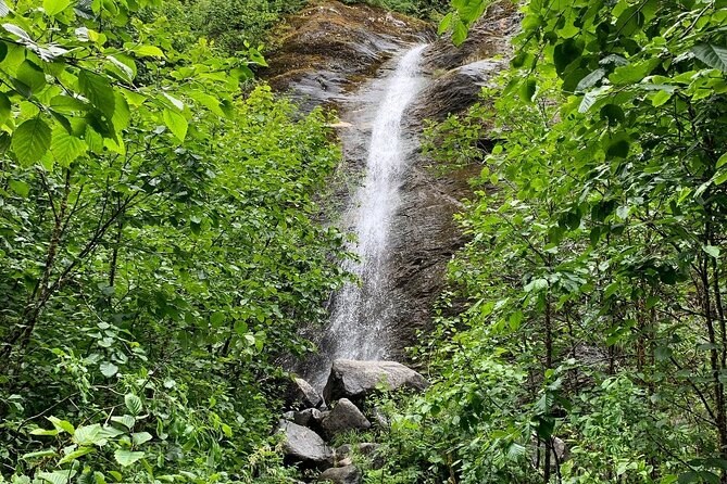Private Wilderness Immersion: Hidden Rainforest & Waterfall Trek