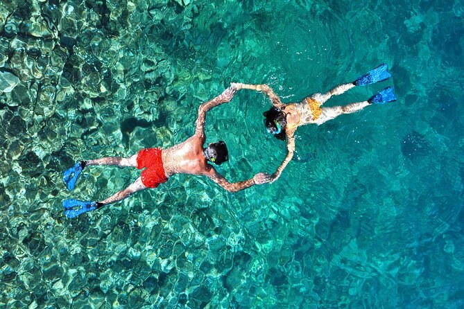 Exclusive Small-Group Snorkel & Marine Wildlife Adventure