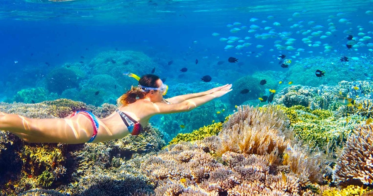 Private Catamaran Sail & Snorkel: Coral Reef in Crystal Waters
