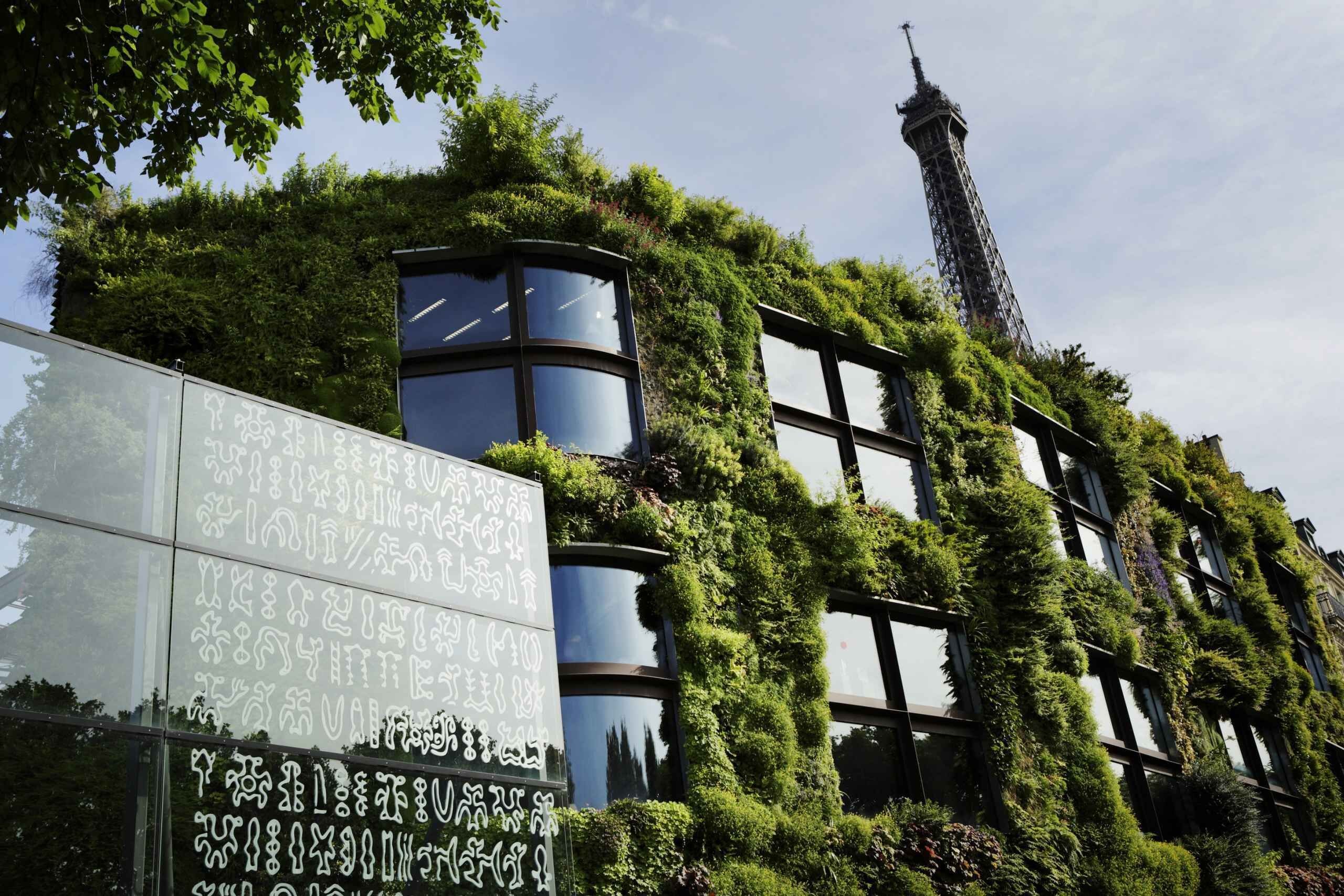 Musée du Quai Branly – Jacques Chirac: Private Guided Tour