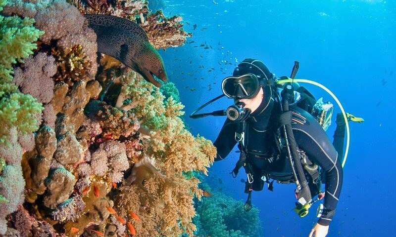 Lbomo Reef: Private Guided Scuba Dive on the Coral Wall