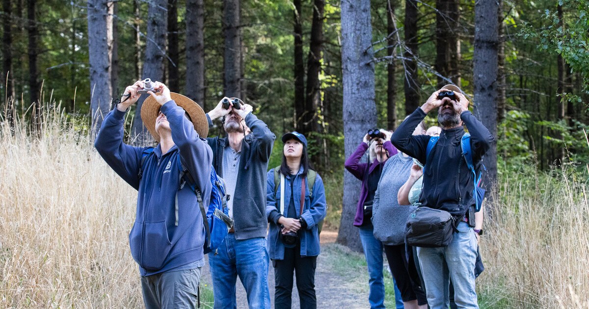 Lbomo Highland Rainforest: Expert-Led Wildlife & Birding Trek