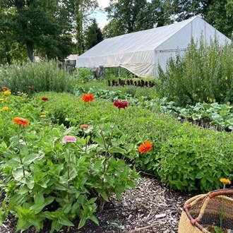 Lbomo Farm-to-Table: Private Chef's Market & Cooking Masterclass