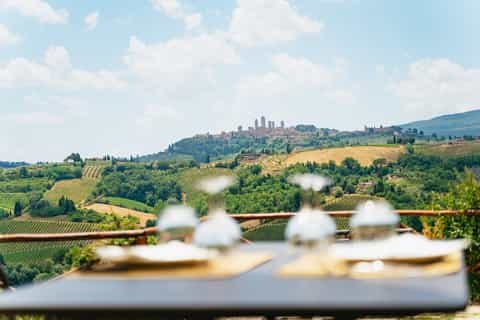 Pisa & Tuscan Countryside: Tower, Olive Groves & Wine Tasting