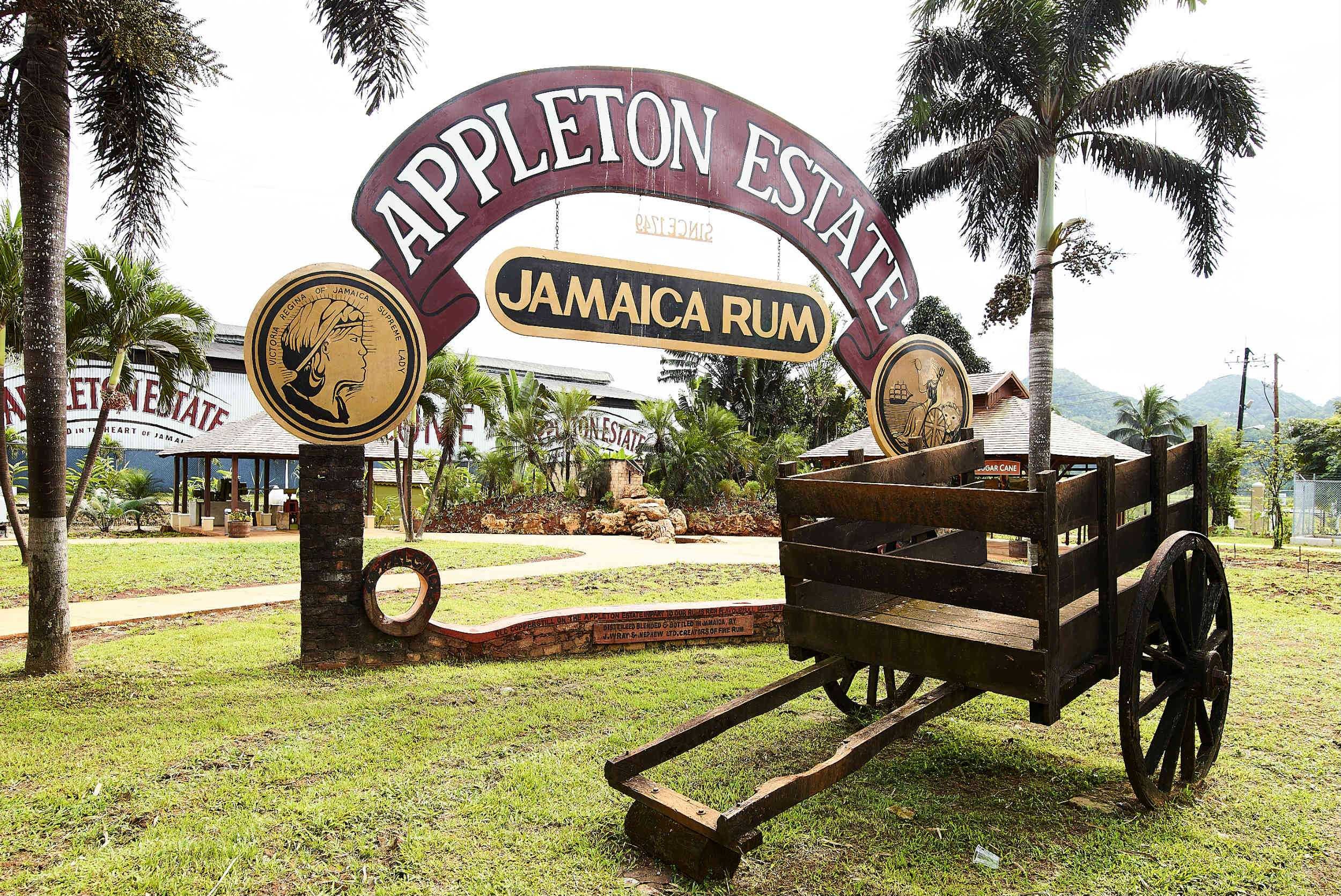 Colonial Plantation Estate: Rum, History & Creole Gastronomy