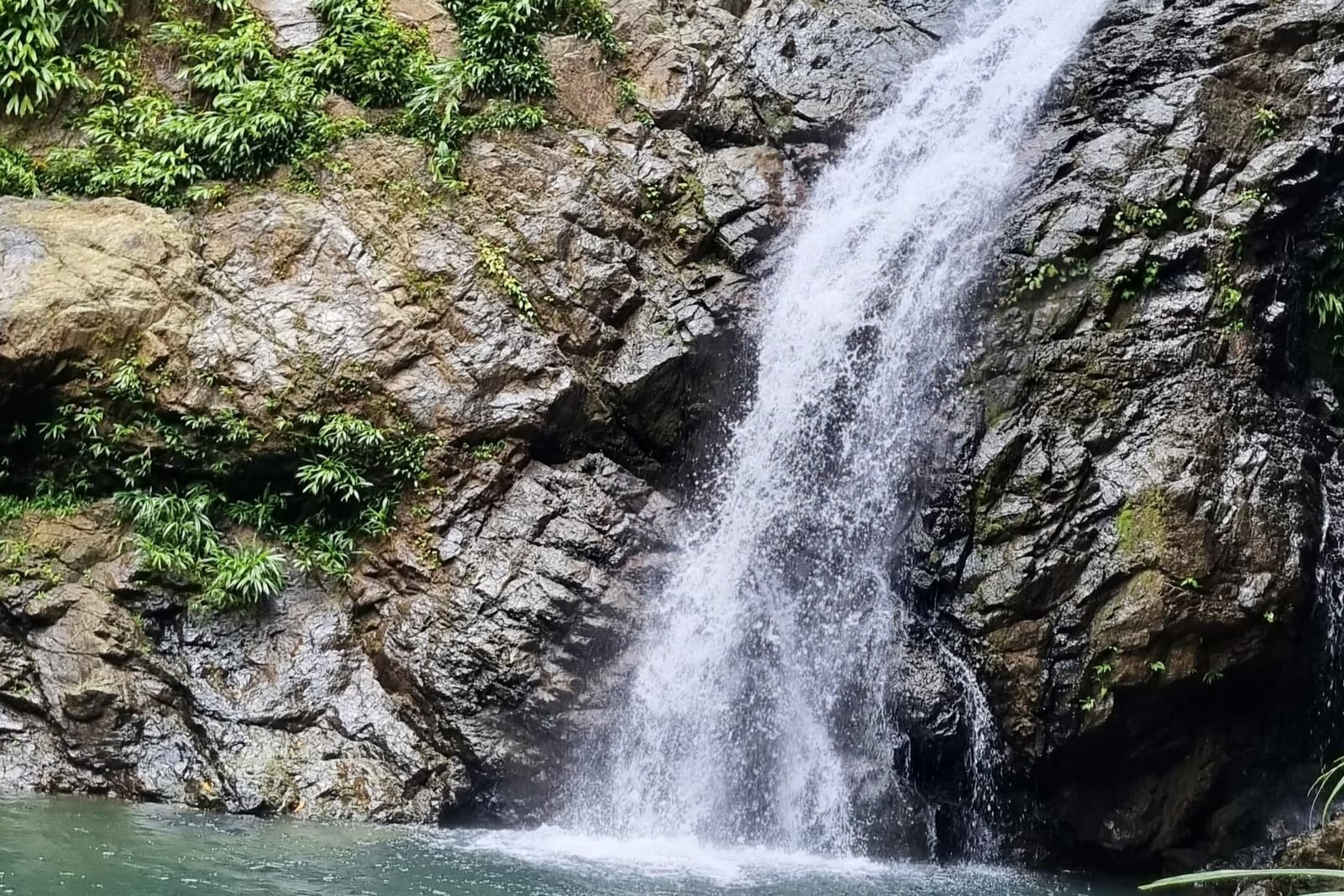 Aampa Rainforest Hike & Hidden Waterfall Swim
