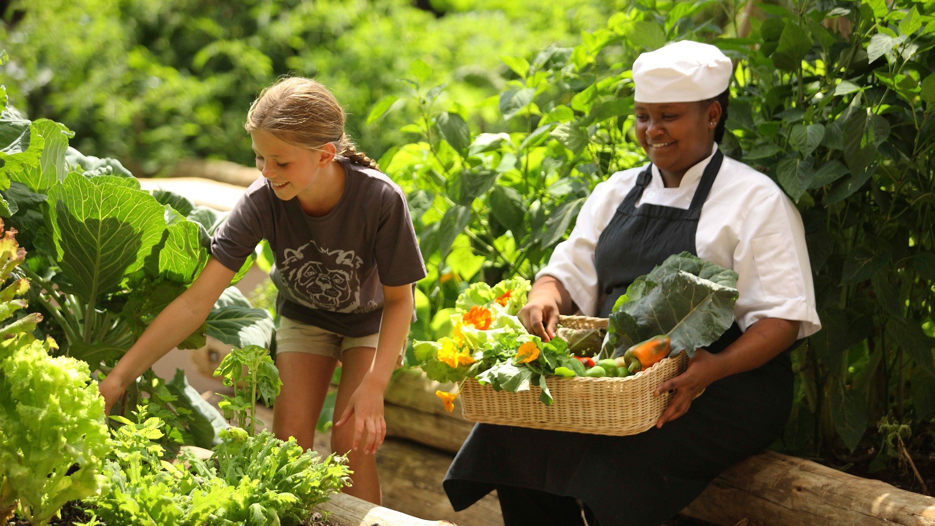 Farm-to-Table Culinary Immersion with a Local Chef