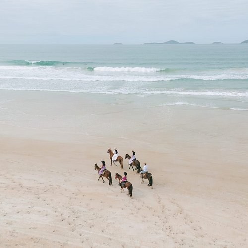 Búzios: Private Horseback Ride Along João Fernandes Beach