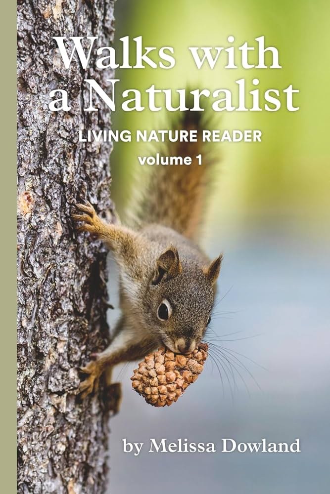Private Wildlife & Nature Walk with a Naturalist Guide