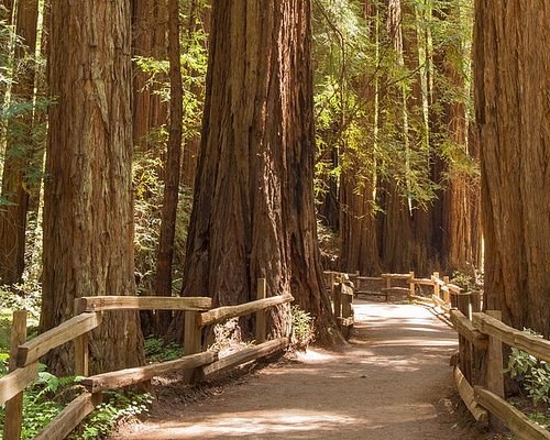 Wildlife & Nature Reserve: Private Guided Eco-Walk
