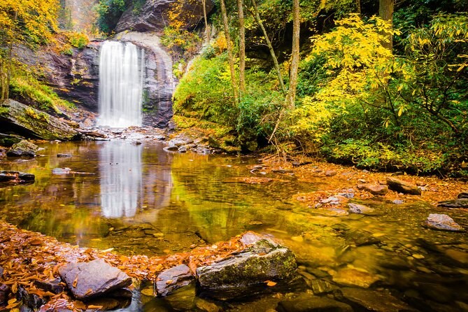 Rare Wildlife & Nature Reserve: Expert Naturalist Guided Trek
