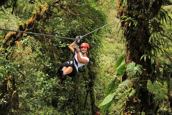 Rainforest Canopy Zip-Line & Waterfall Plunge