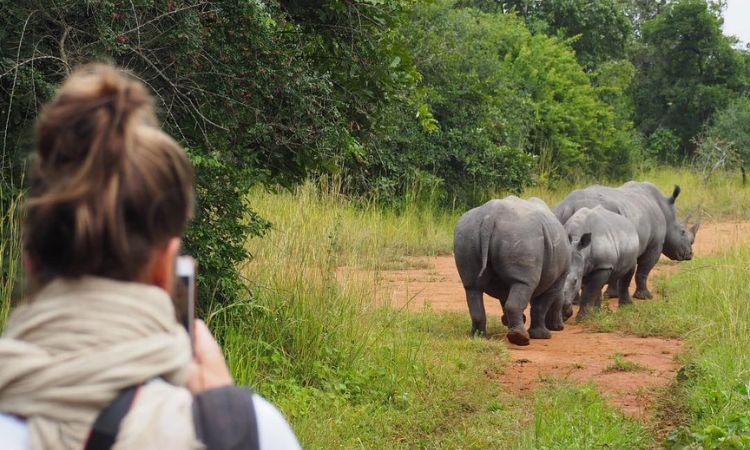 Private Rhino Trekking at Ziwa Rhino Sanctuary