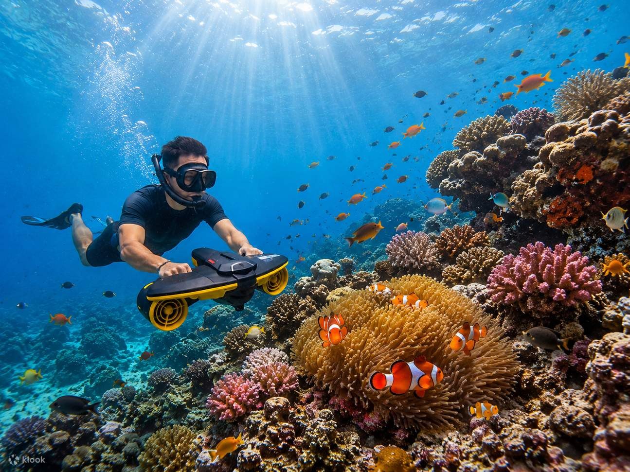 Underwater Sea Scooter Adventure on a Pristine Reef Wall
