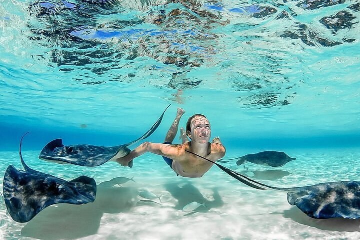 Private Snorkel & Stingray City Sandbar — Grand Cayman