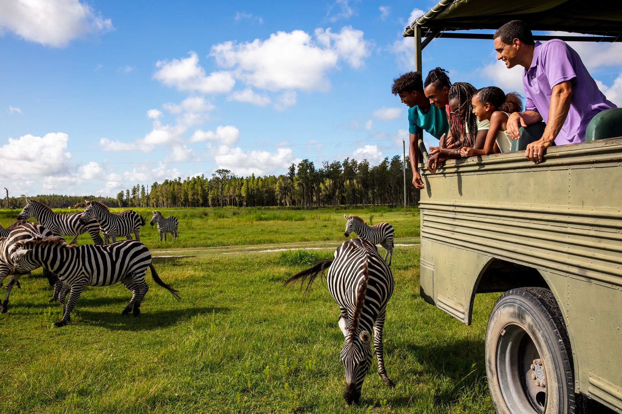 Wilderness Wildlife Safari: Private 4x4 Expedition at Dawn