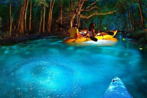Private Kayak & Snorkel: Bioluminescent Mangrove Bio-Bay at Dusk