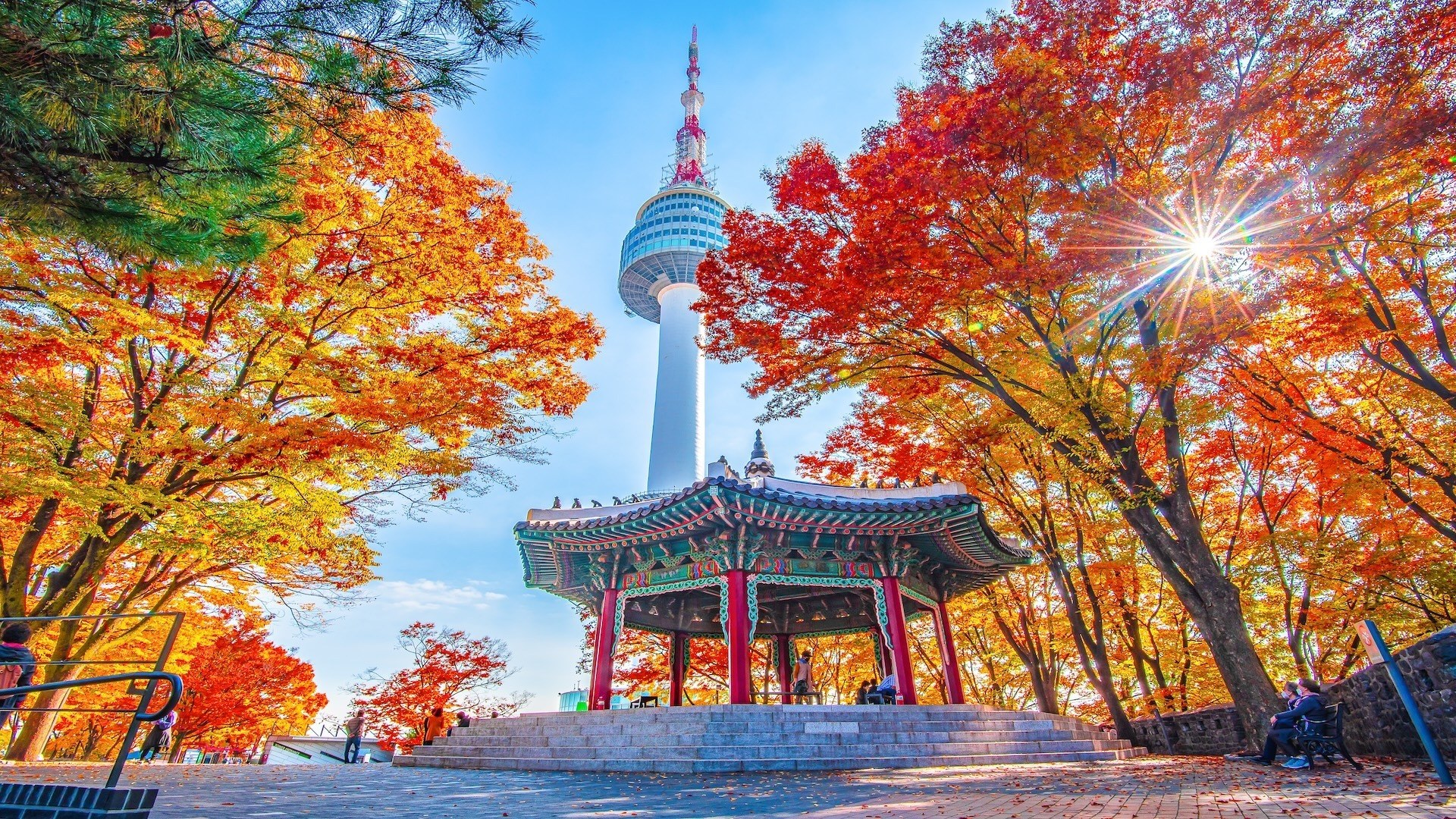 Namsan & N Seoul Tower: Private Sunrise or Golden-Hour Summit