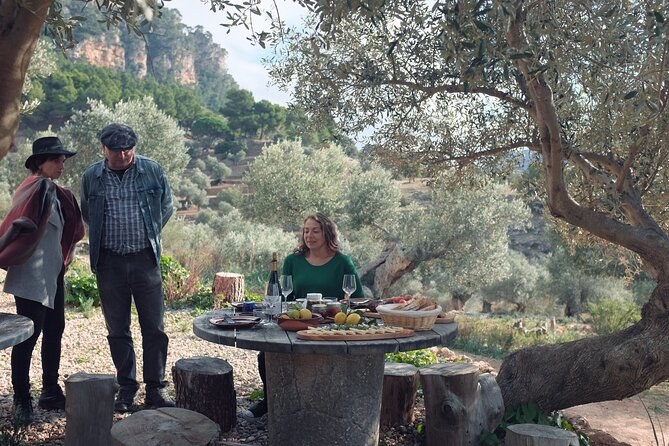 Private Mallorcan Wine & Olive Oil Tasting at a Historic Finca