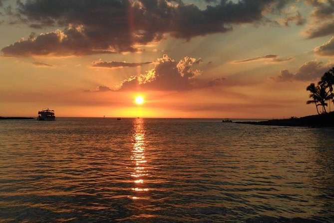 Sunset Wildlife & Birdwatching by Private Boat: Gulf of Naples Reserve