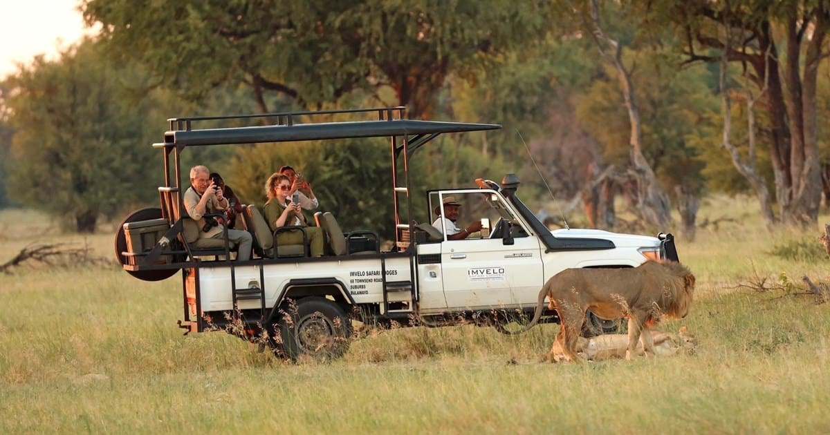 Exclusive Wildlife & Nature Safari: Endemic Species & Wild Habitat