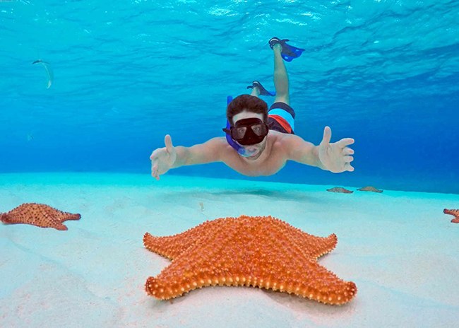 Cozumel: Private El Cielo Snorkel & Starfish Lagoon