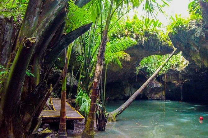 Cozumel: Private Jeep Jungle & Mayan Ruin Expedition