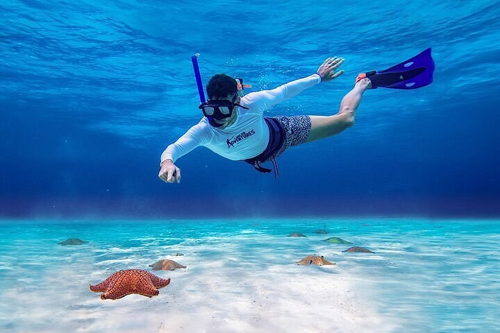Cozumel: Coral Reef Photography Snorkel with a Marine Biologist