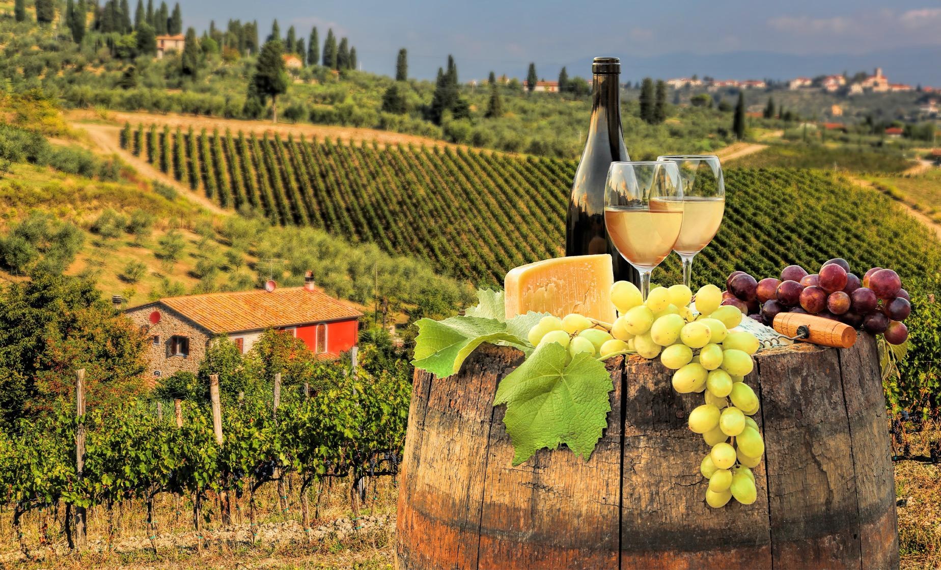 Chianti Wine Estate: Private Cellar Tasting & Vineyard Walk