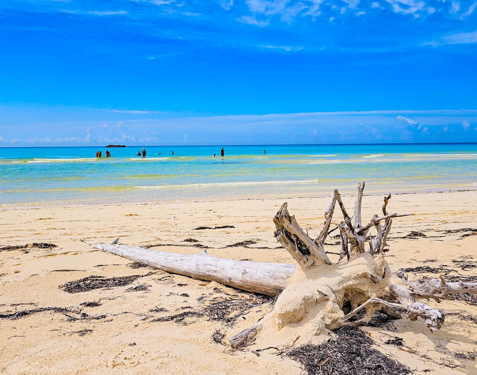 Celebration Key cruise excursions