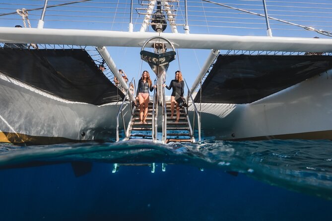 Luxury Catamaran Snorkel & Sea-Turtle Sail