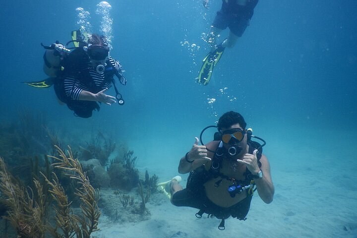 Scuba Dive the Pristine Reef: Certified Divers Private Charter