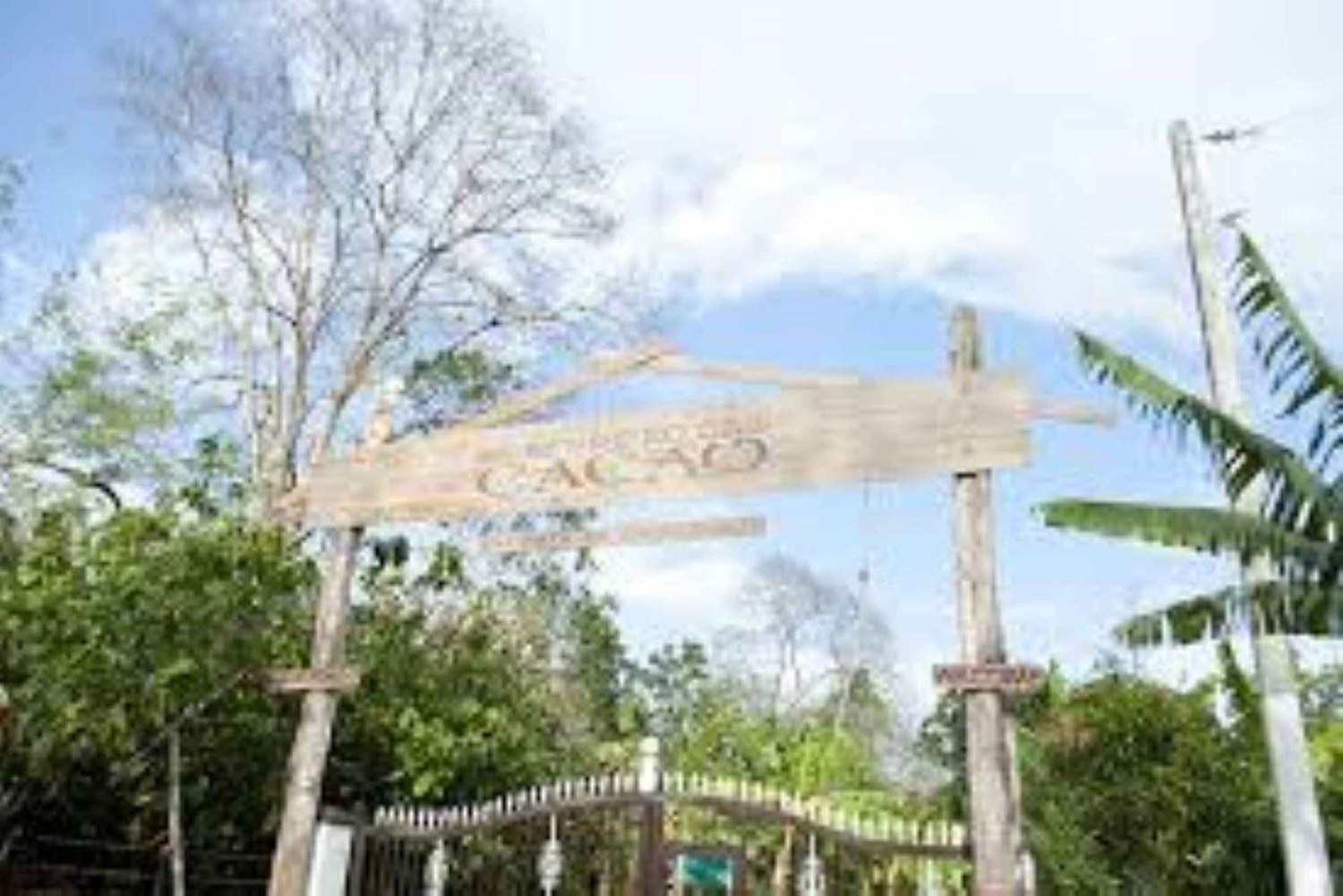 Private Dominican Farm-to-Table Cacao & Rum Immersion