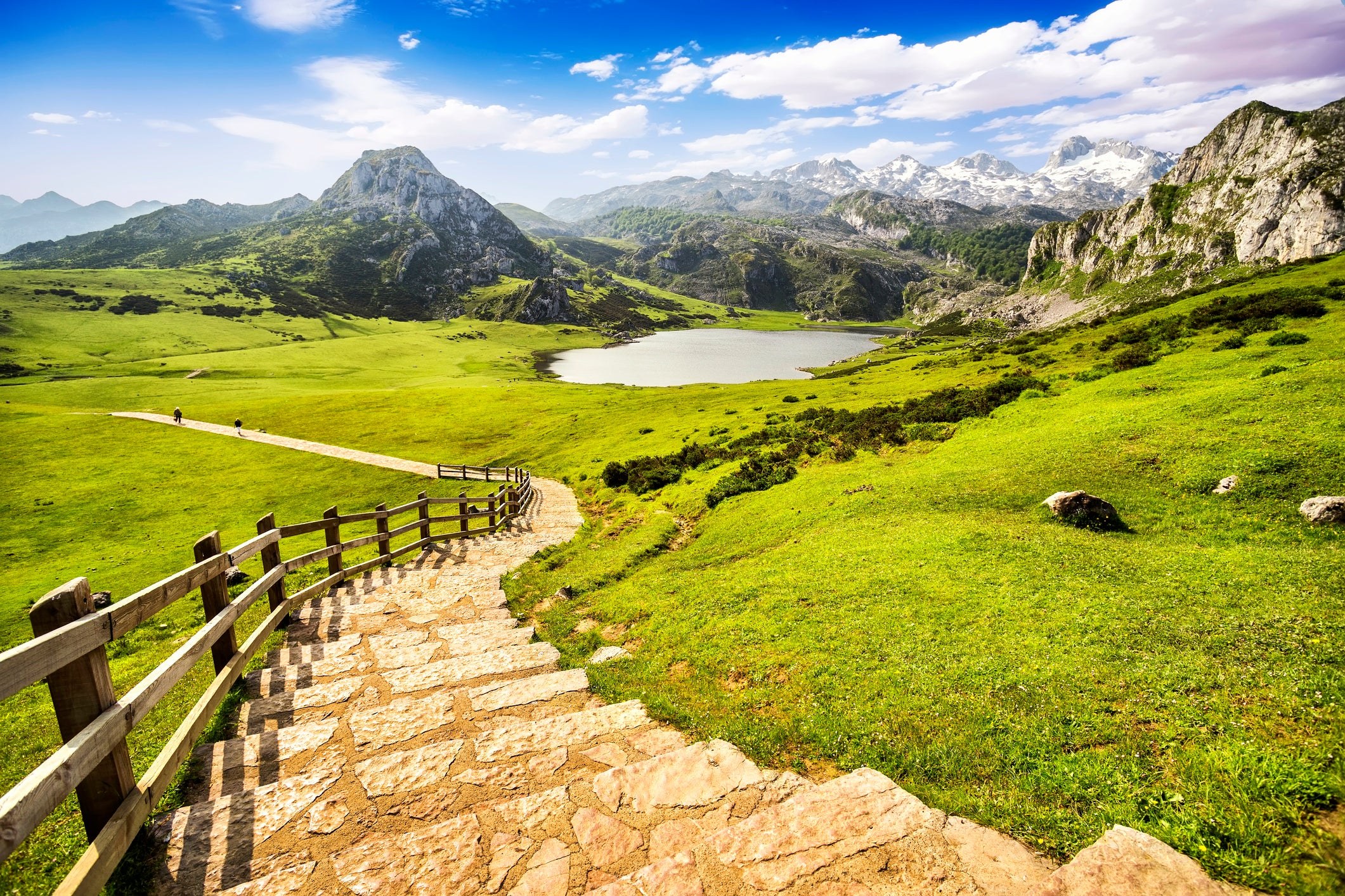 Picos de Europa: Private Summit & Alpine Meadow Hike