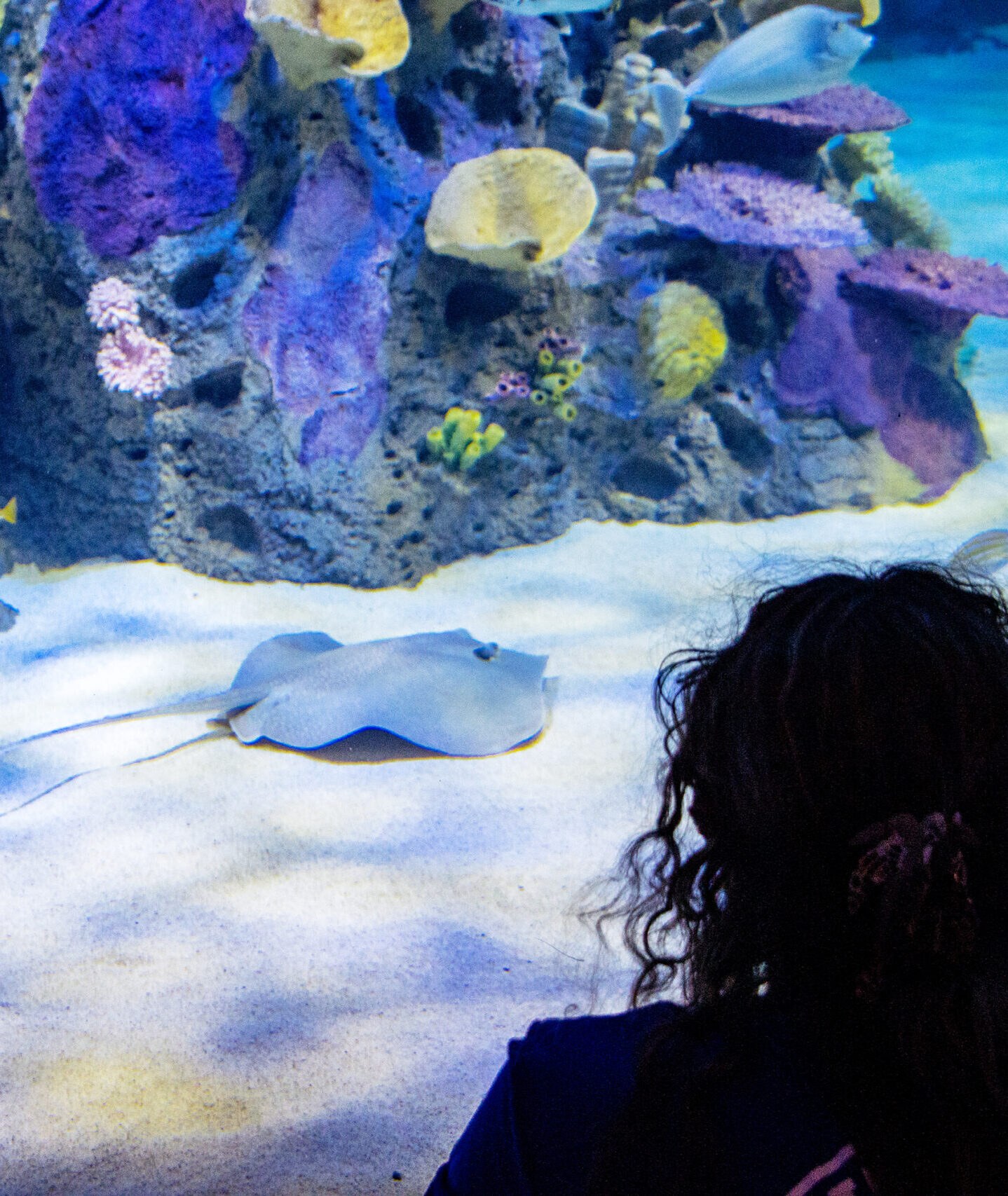 Mote Marine Laboratory & Aquarium: Behind-the-Scenes Access