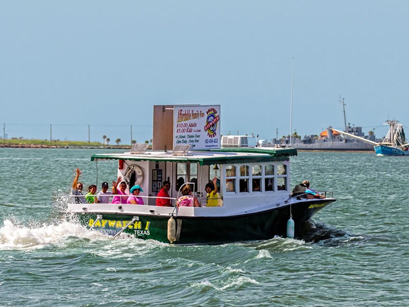 Galveston Ferry & Bolivar Peninsula Dolphin Spotting Cruise