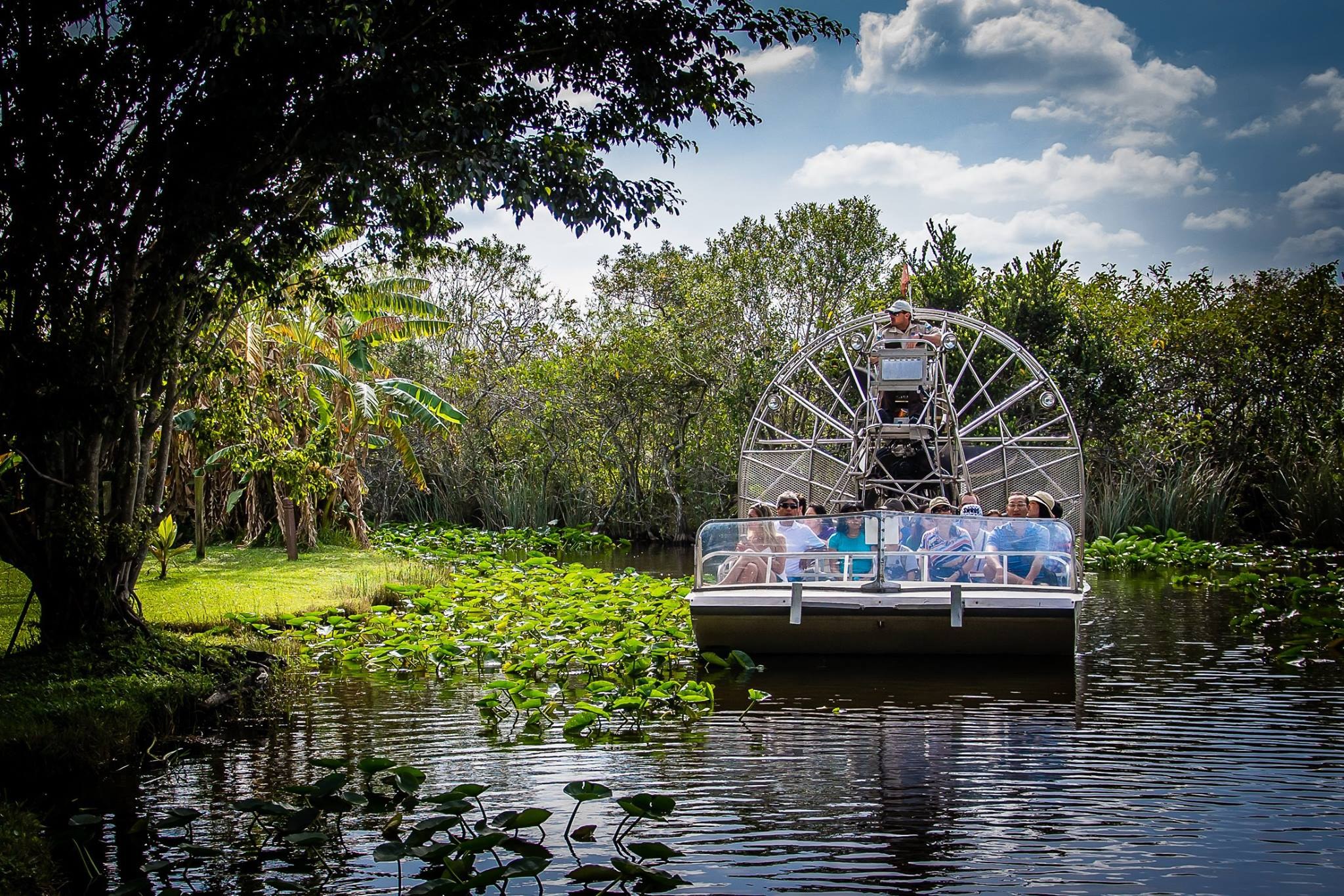 Everglades Airboat & Wildlife Safari: Private Guided Expedition
