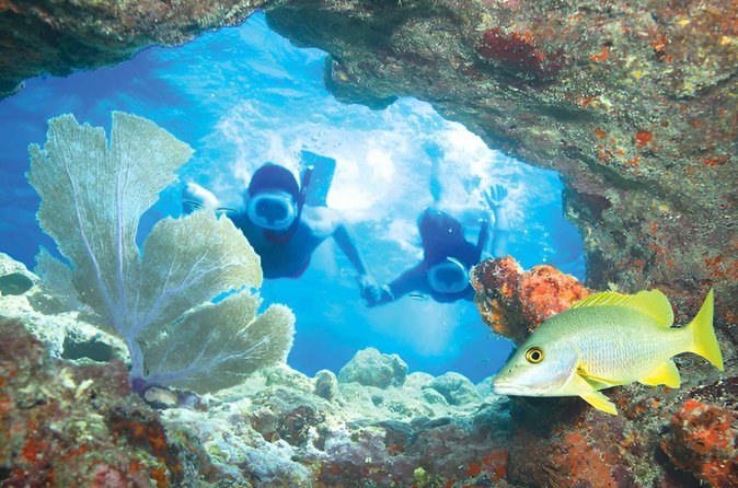 Florida Keys Day Escape: Snorkel the Living Coral Reef