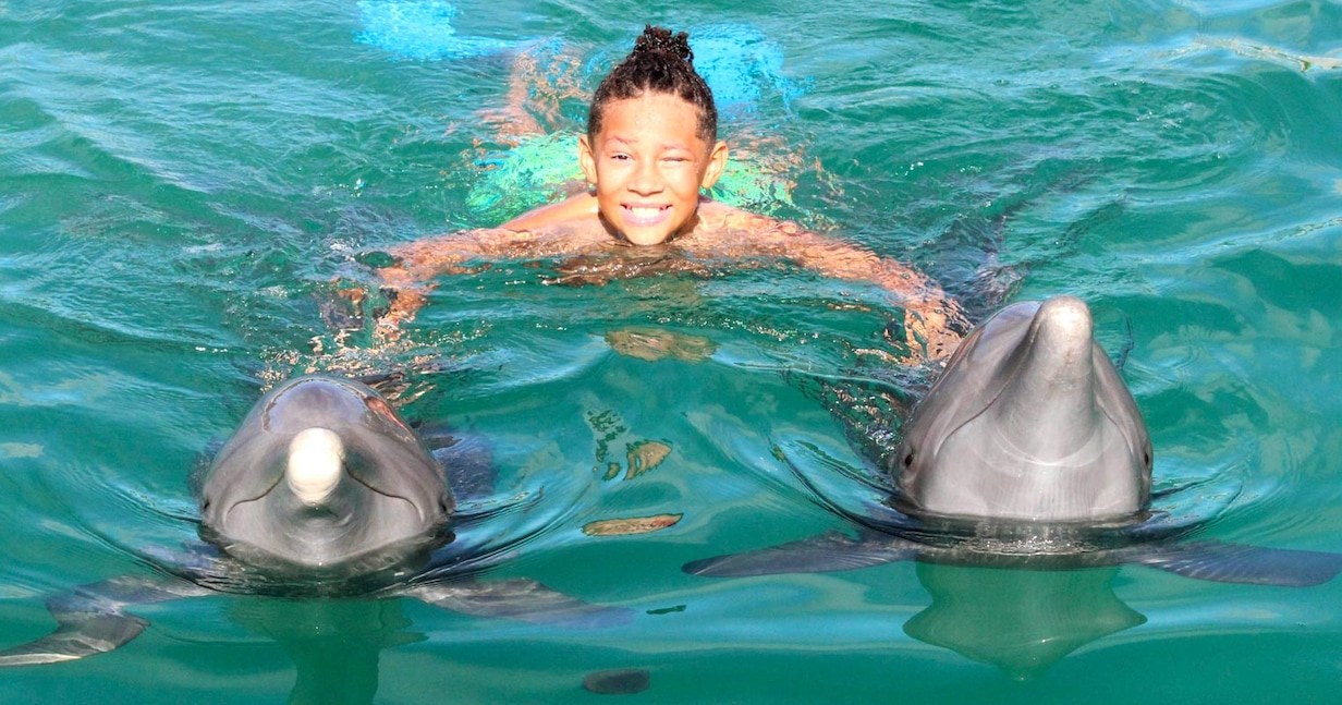 Swim with Atlantic bottlenose dolphins in a natural 9-acre ocean lagoon