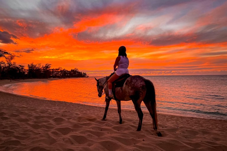 Sunset Horseback Ride Along Volcanic Black-Sand Beach