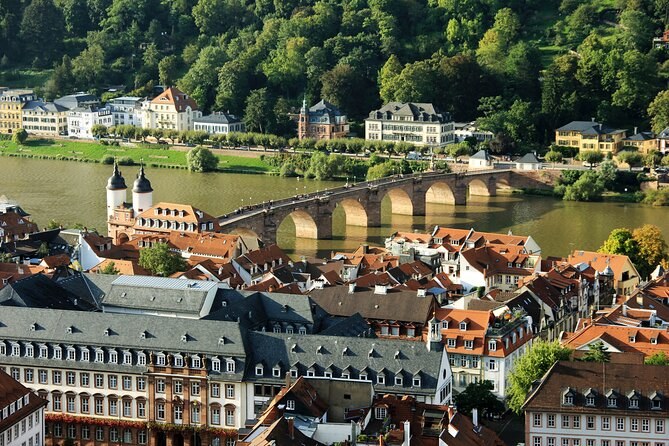Heidelberg Castle & Old Town: Private Half-Day from Mannheim